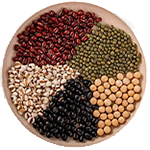 Grãos e Sementes